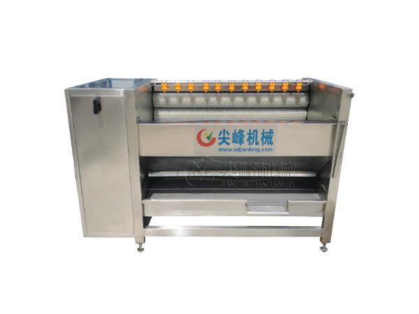 球根莖類去皮清洗機器設(shè)備